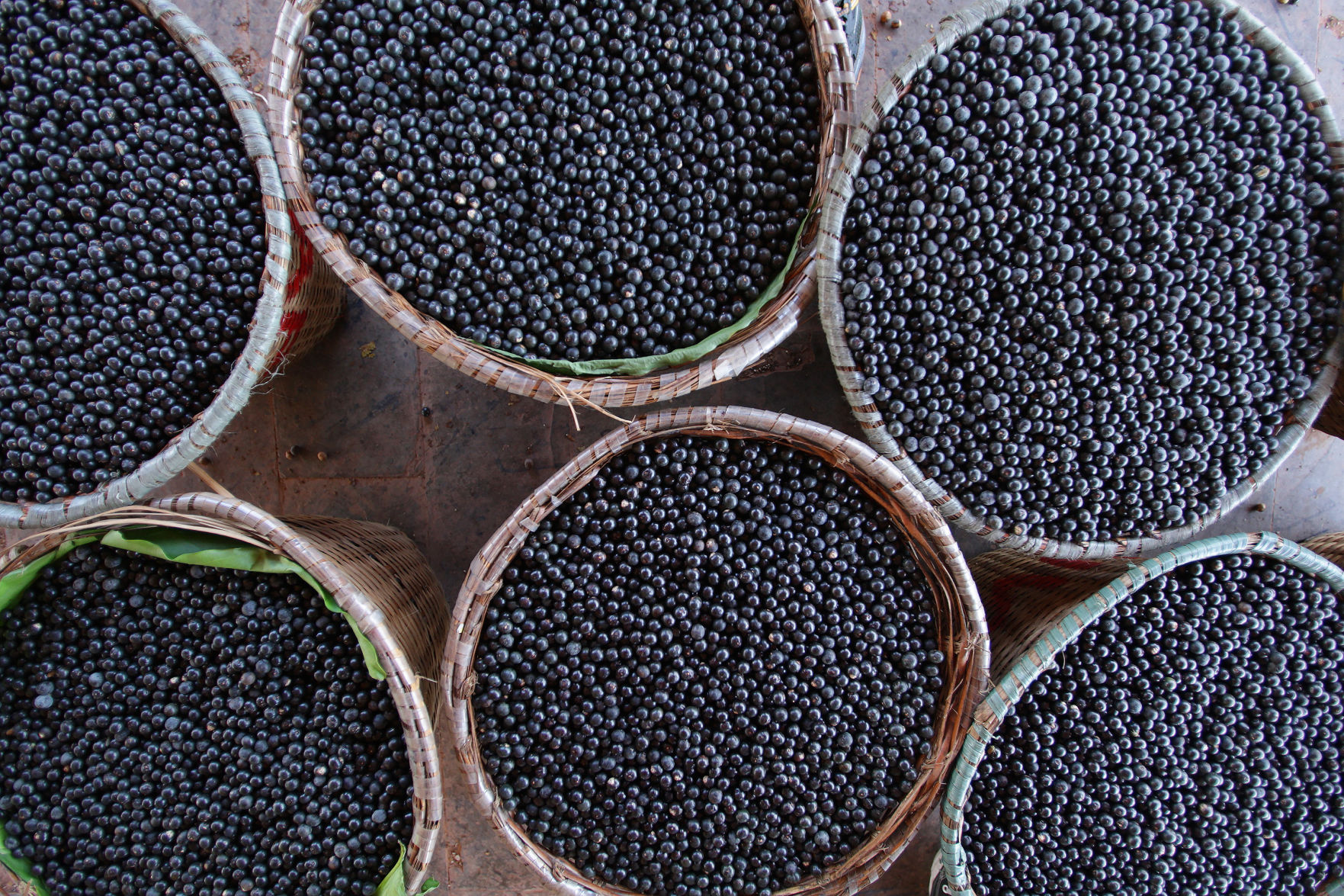 Acai